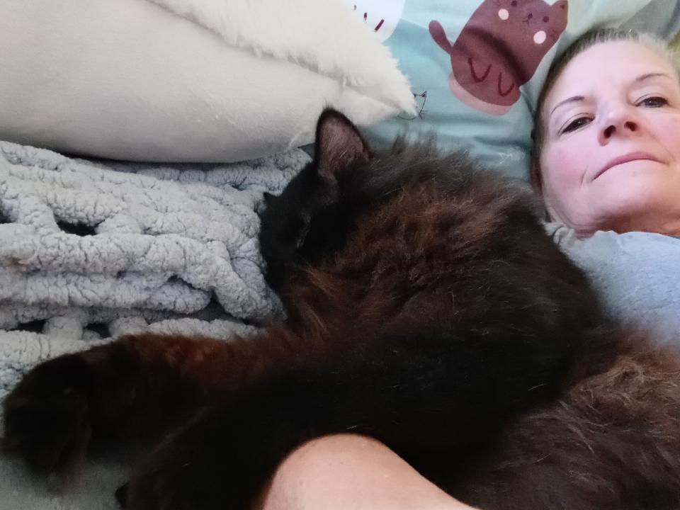 FOSTER HOME NEEDED FOR OUR BLIND KITTY, SWEETIE PIE!, a Adoptable Domestic Long Hair in Milwaukee, WI image 4/6