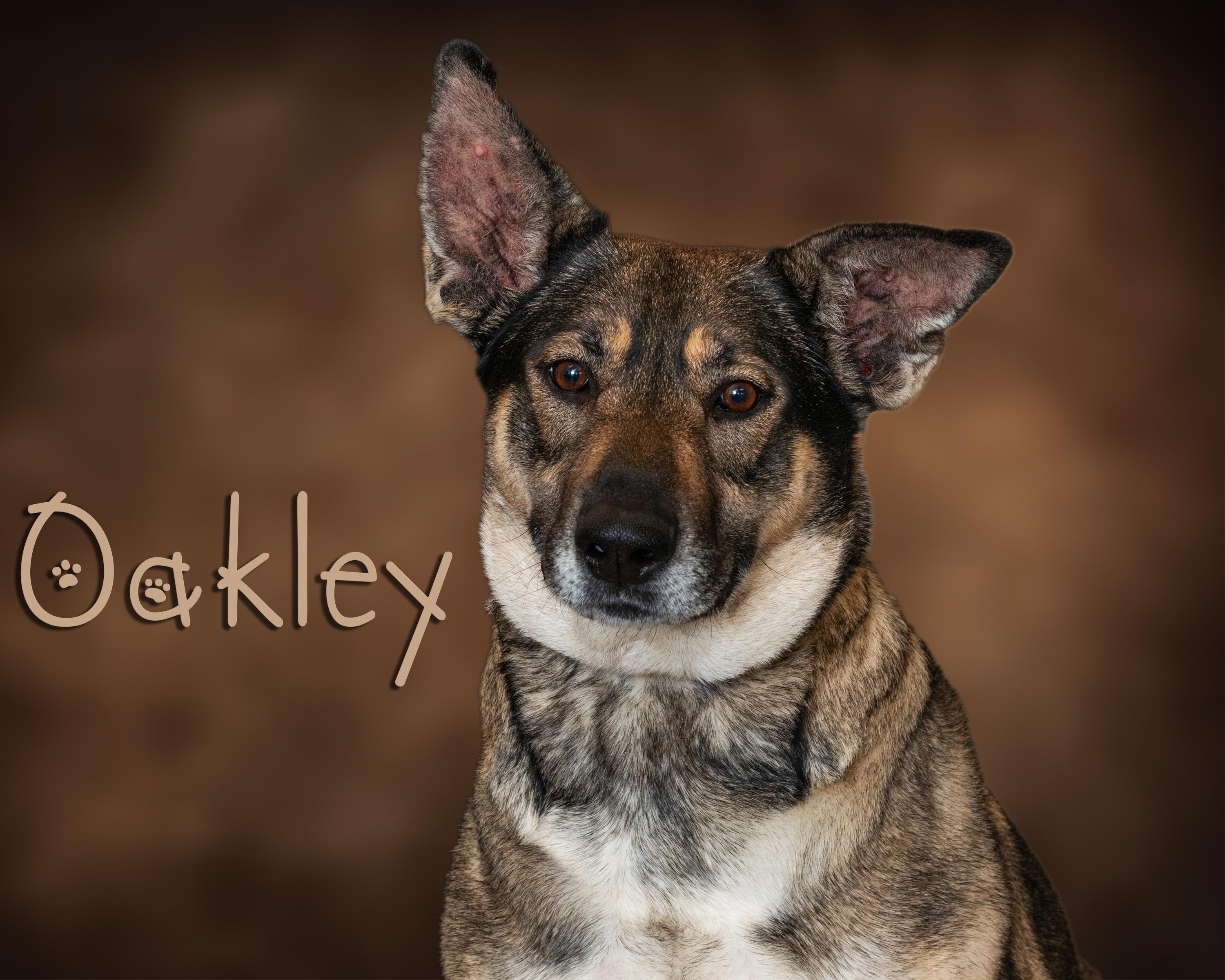 Oakley
