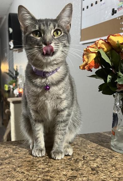 Linus & Pearl — thumbnail 5