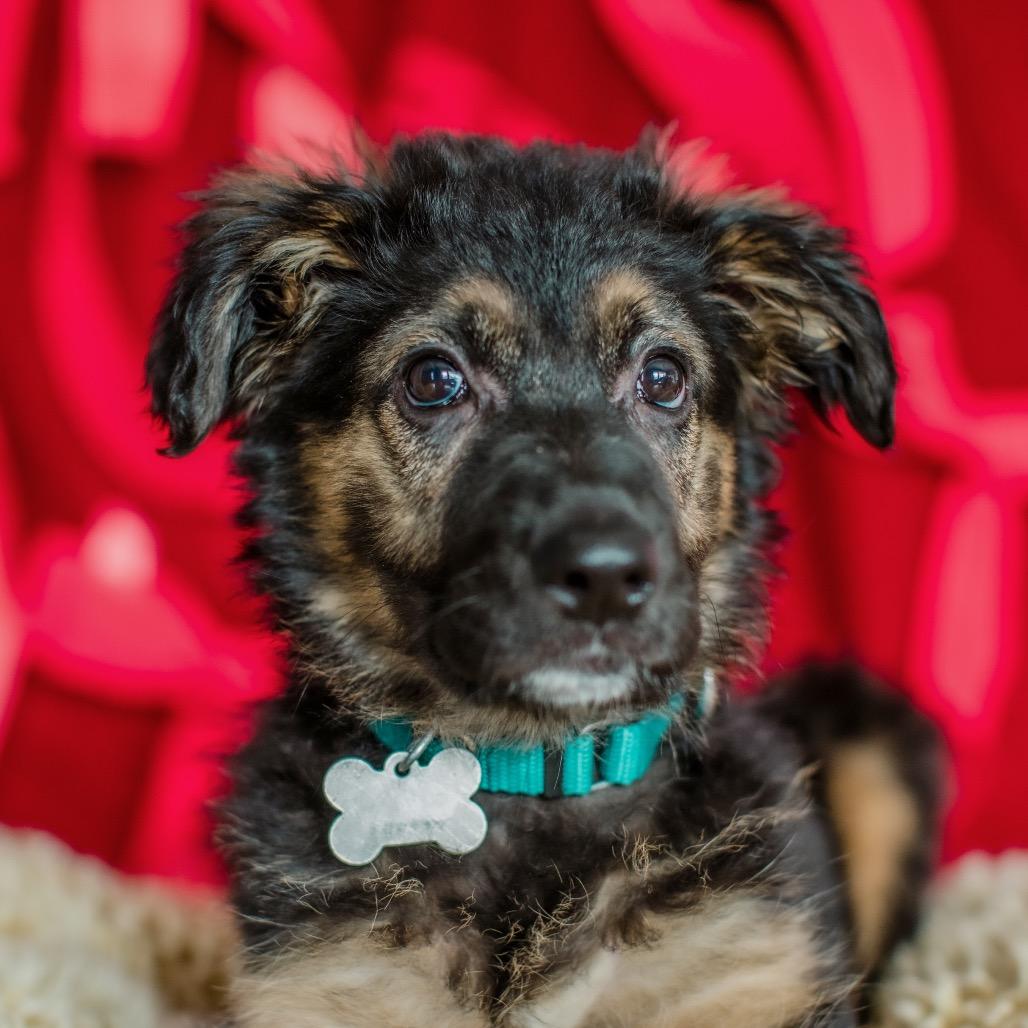 Kate Spade — thumbnail 3