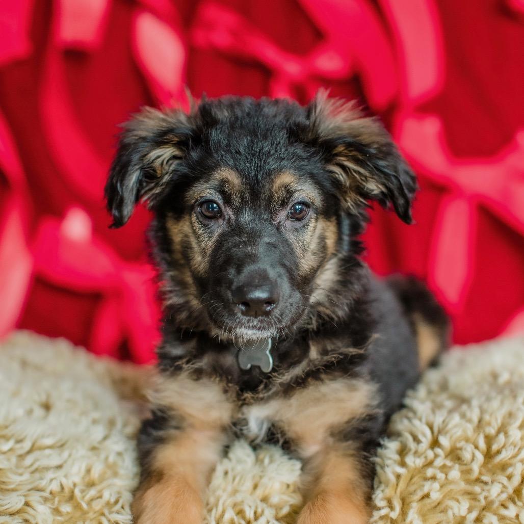 Kate Spade — thumbnail 4