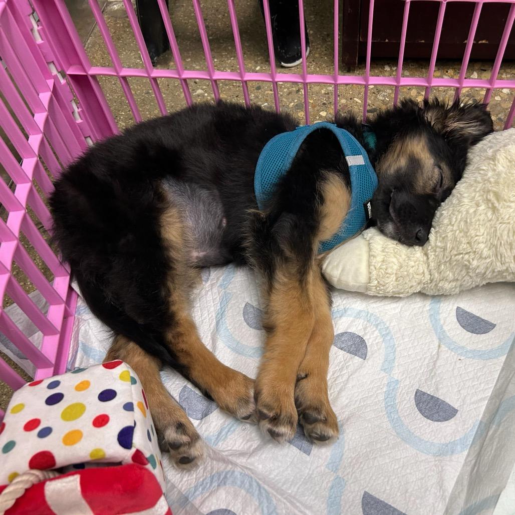 Kate Spade — thumbnail 6