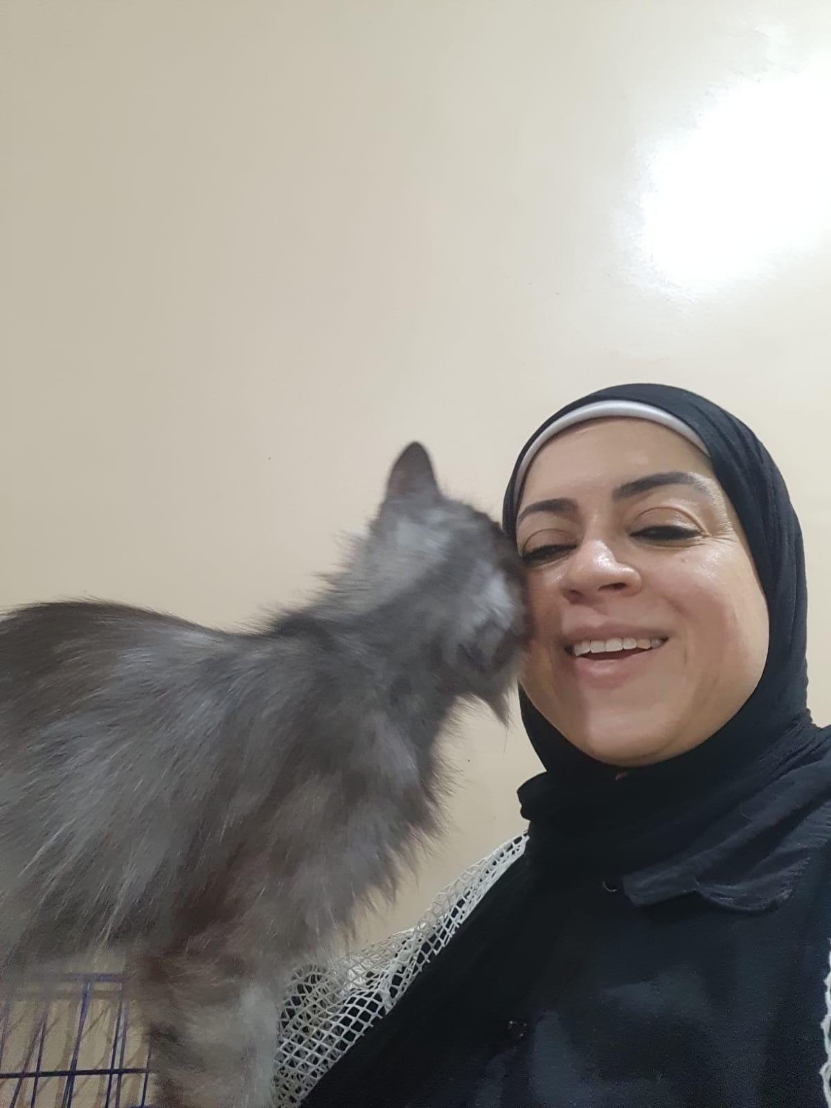 Enlarge Sterling, a Adoptable mixed breed in Brampton, ON image 6/6