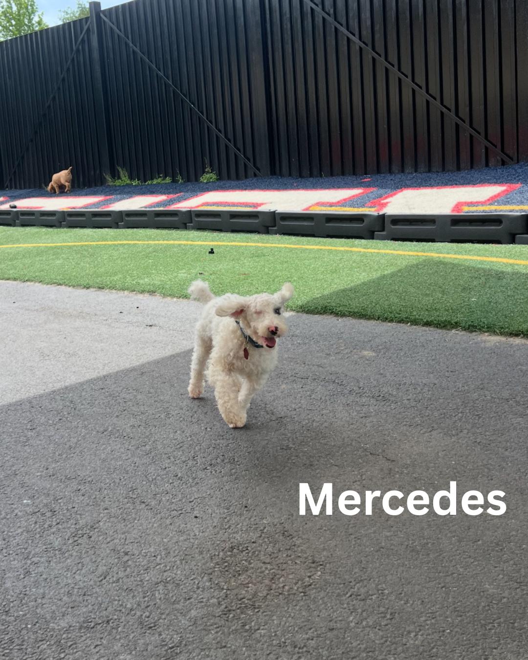 Mercedes