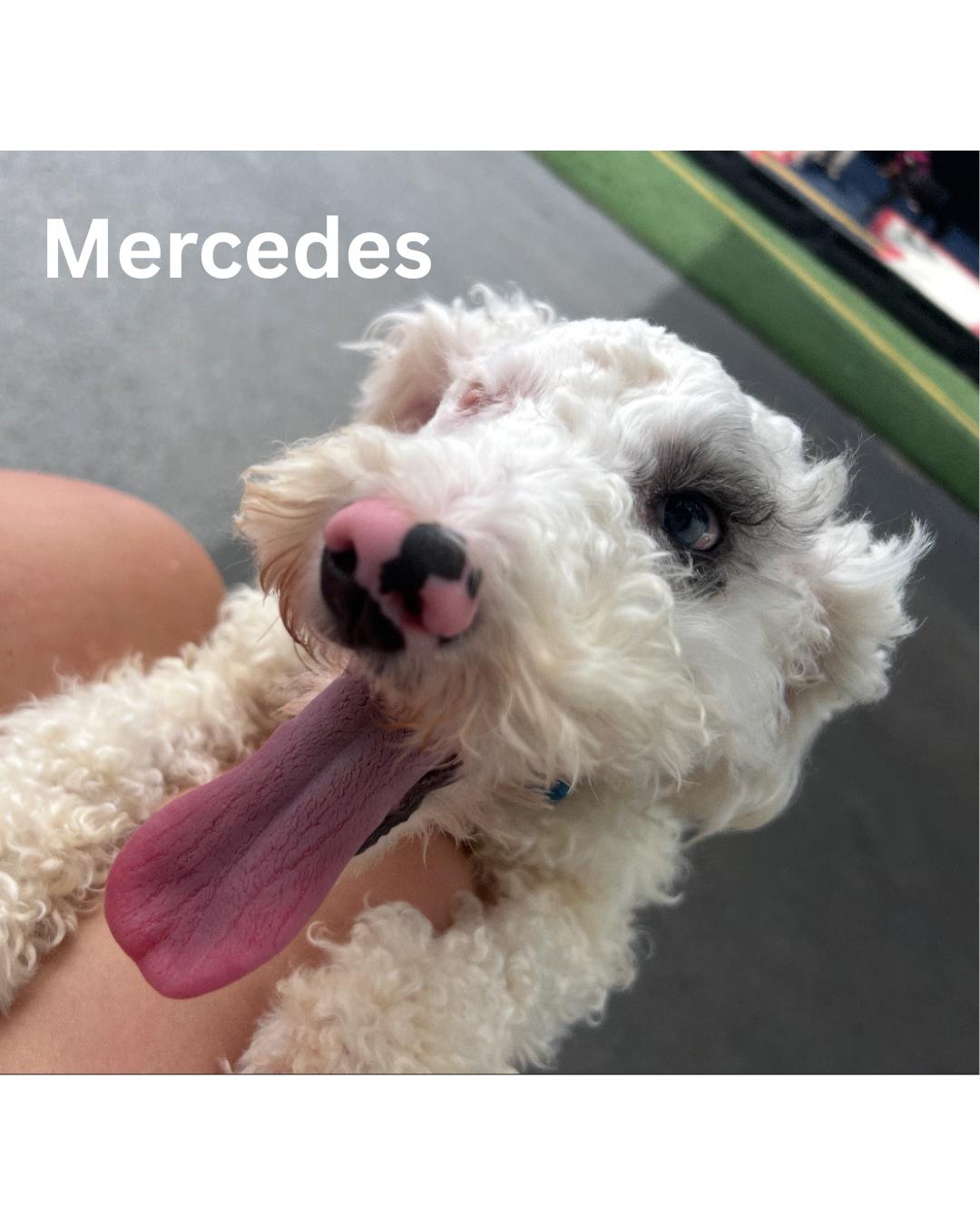 Mercedes