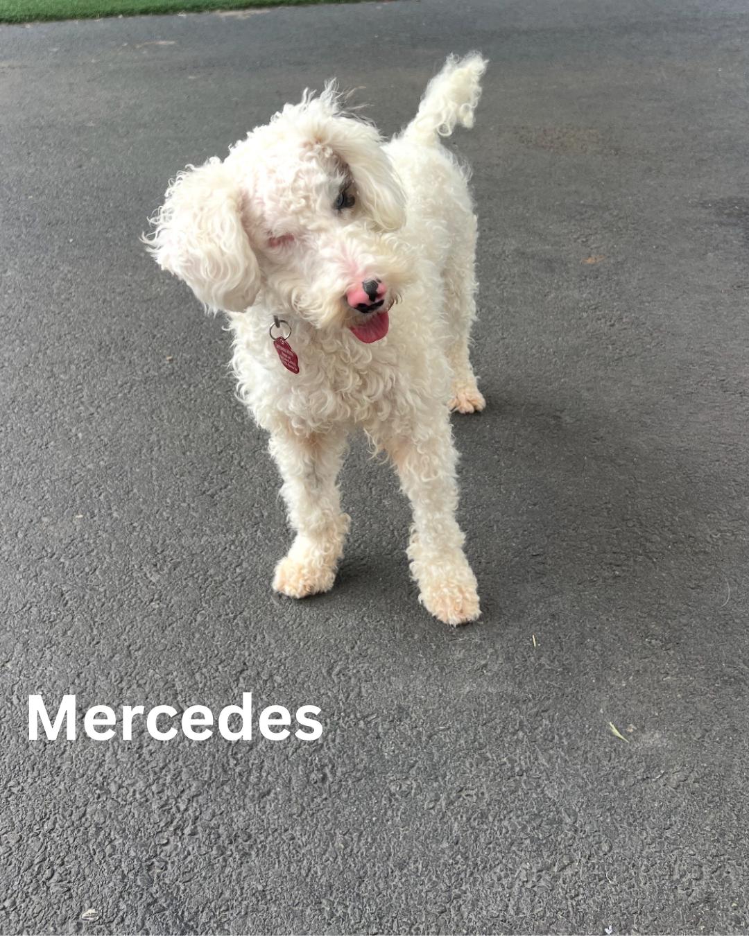 Mercedes