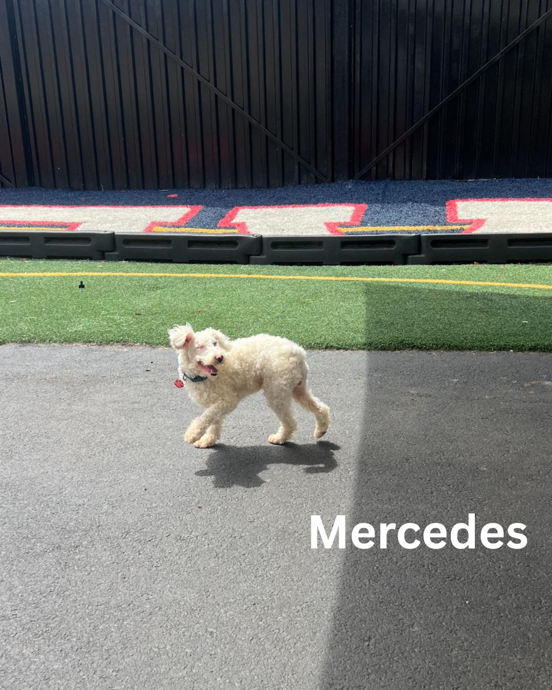 Mercedes
