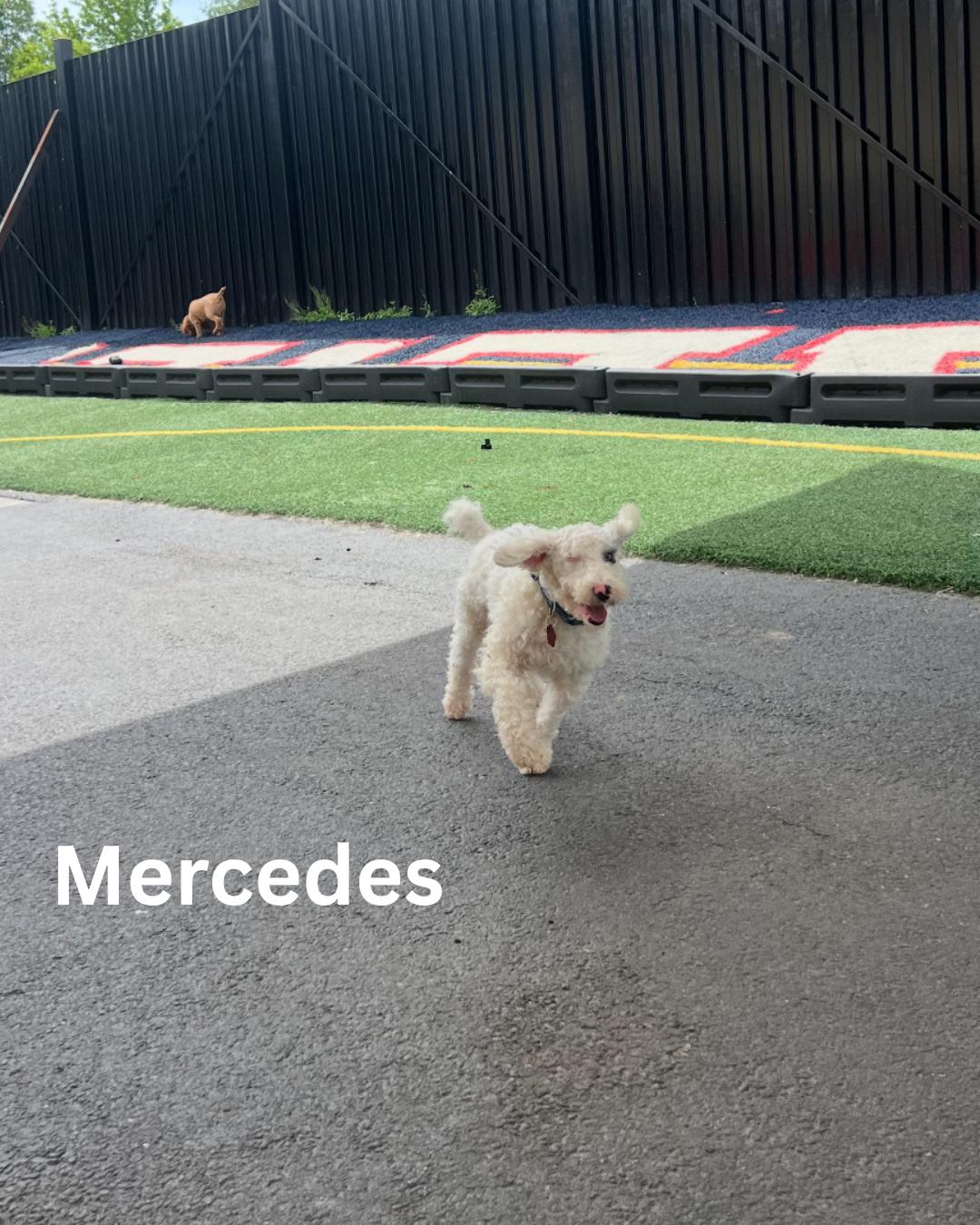 Mercedes