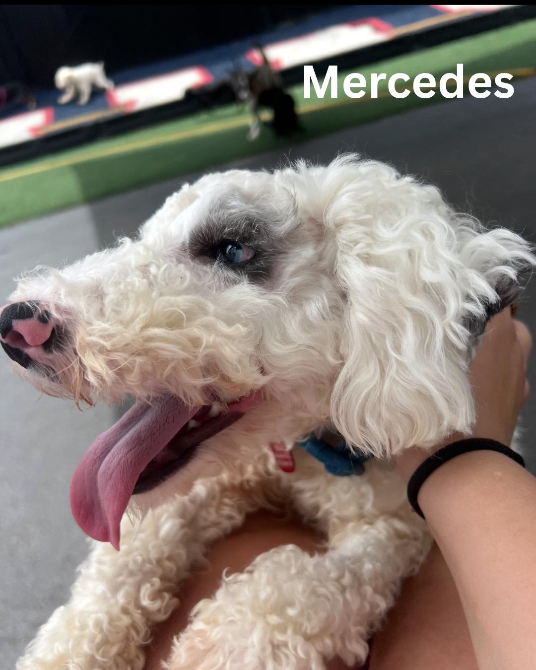 Mercedes