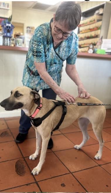 Lana (20241218-04) — thumbnail 2