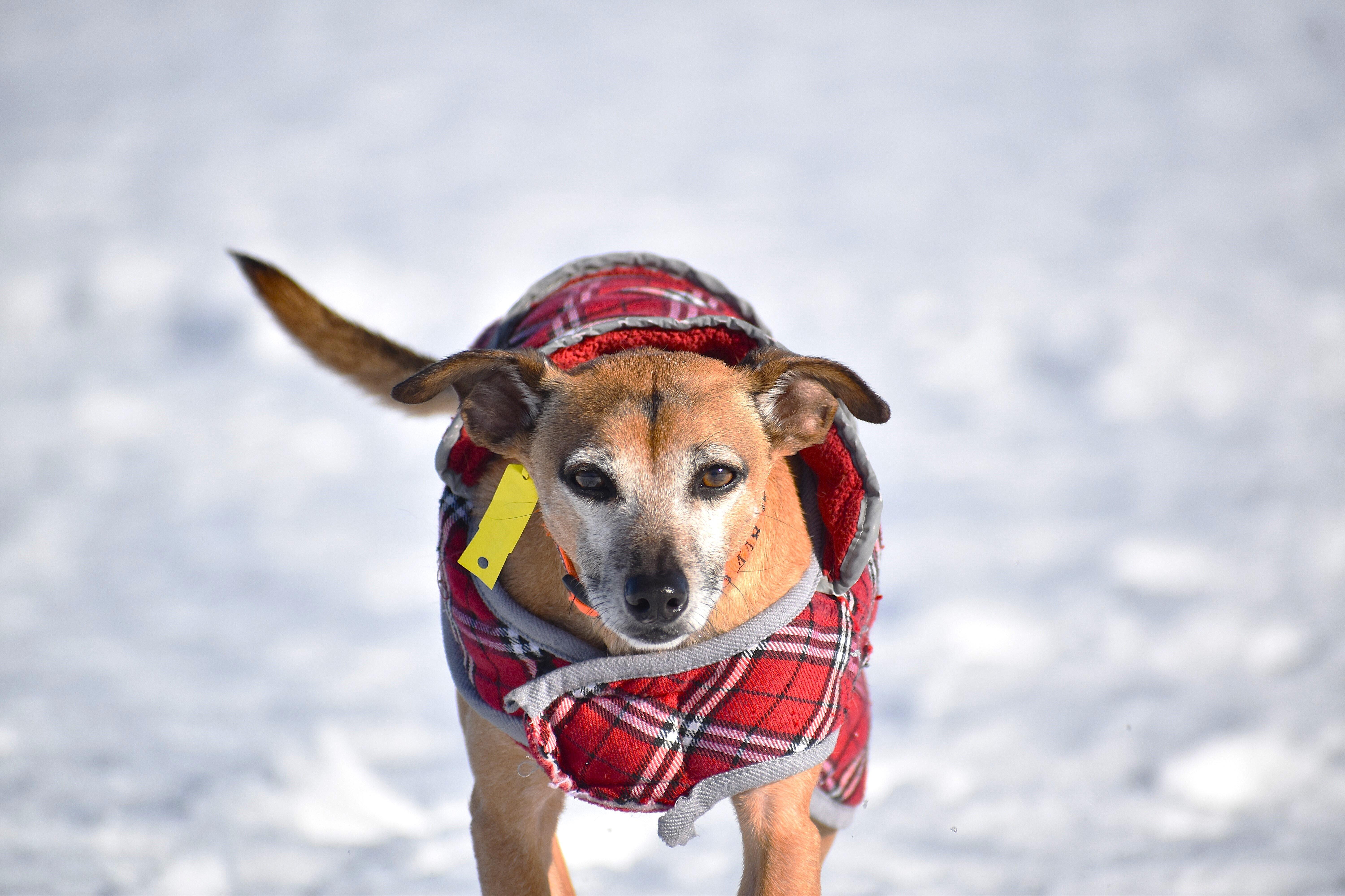 Eddie Kendricks thumbnail 4