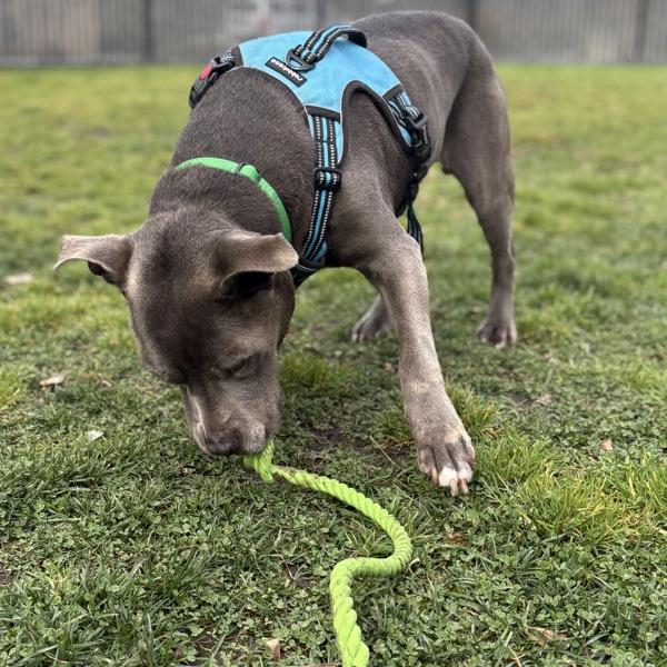 Stromboli — thumbnail 2