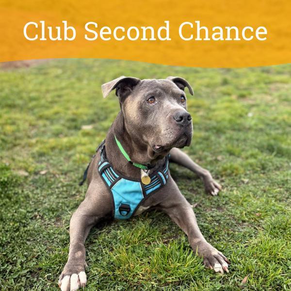 Stromboli — thumbnail 3