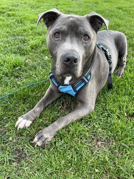 Stromboli — thumbnail 6