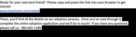 Enlarge Duncan, a Adoptable mixed breed in Long Beach, WA image 5/5