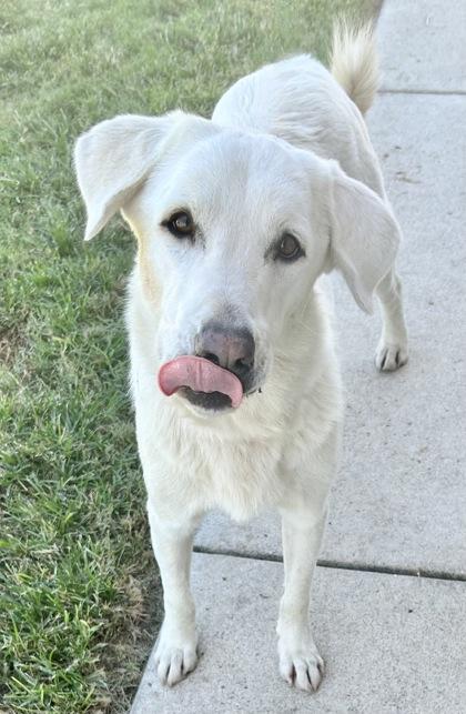Lucy