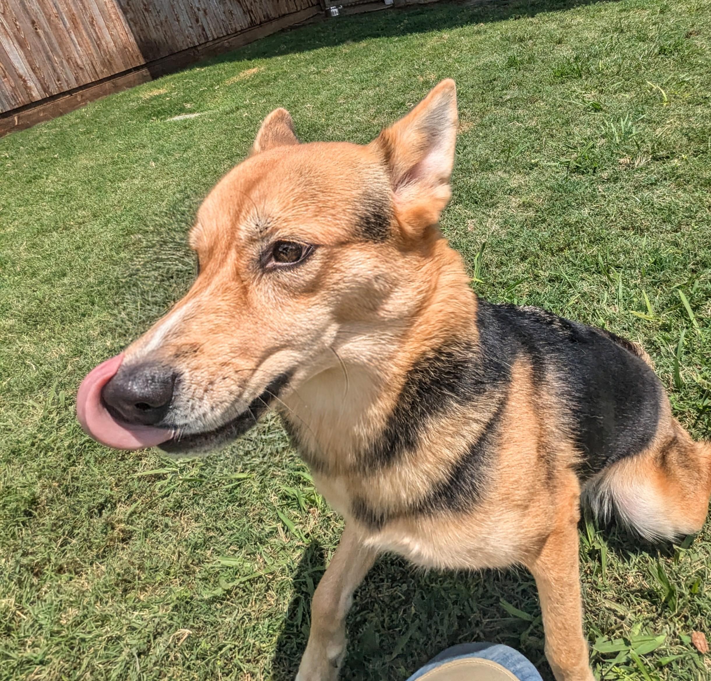 Sasha A thumbnail 4