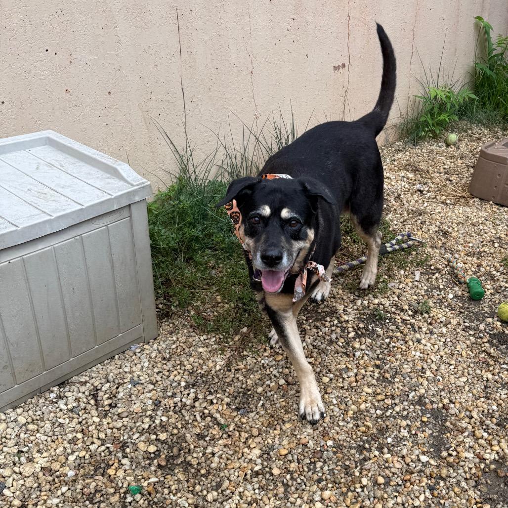 Georgina thumbnail 3