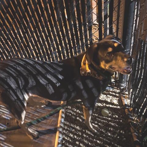 Georgina thumbnail 4