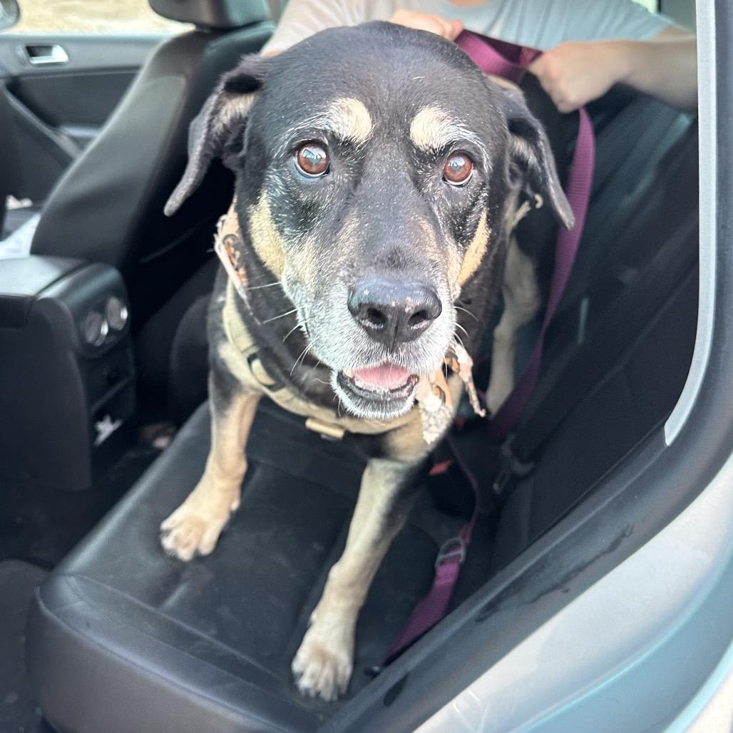 Georgina — thumbnail 3