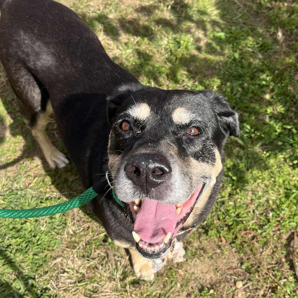 Georgina — thumbnail 4