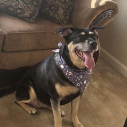 Georgina thumbnail 5