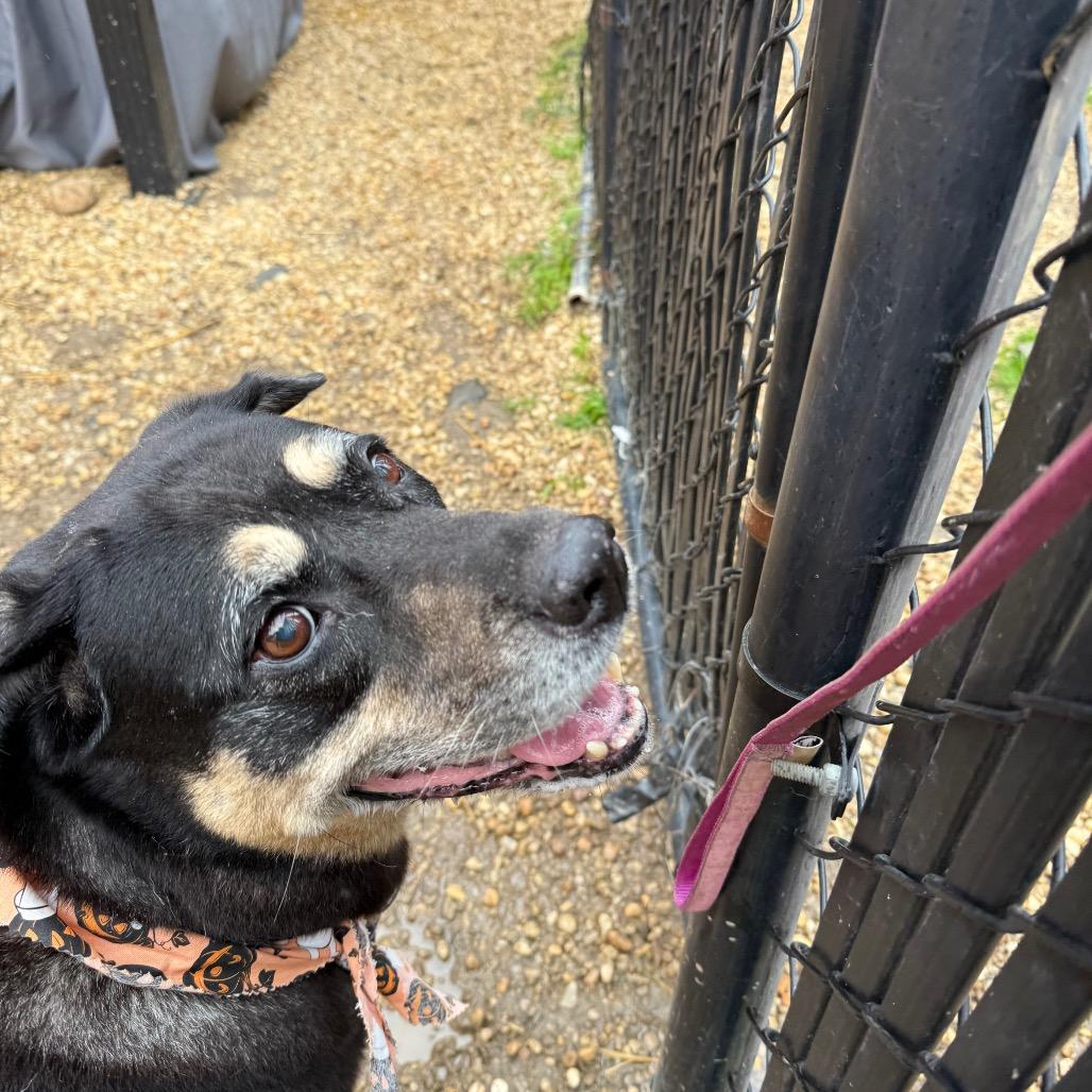 Georgina thumbnail 6