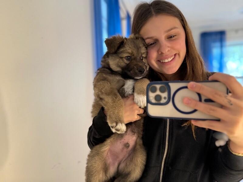 Leo Lion Heart — thumbnail 4