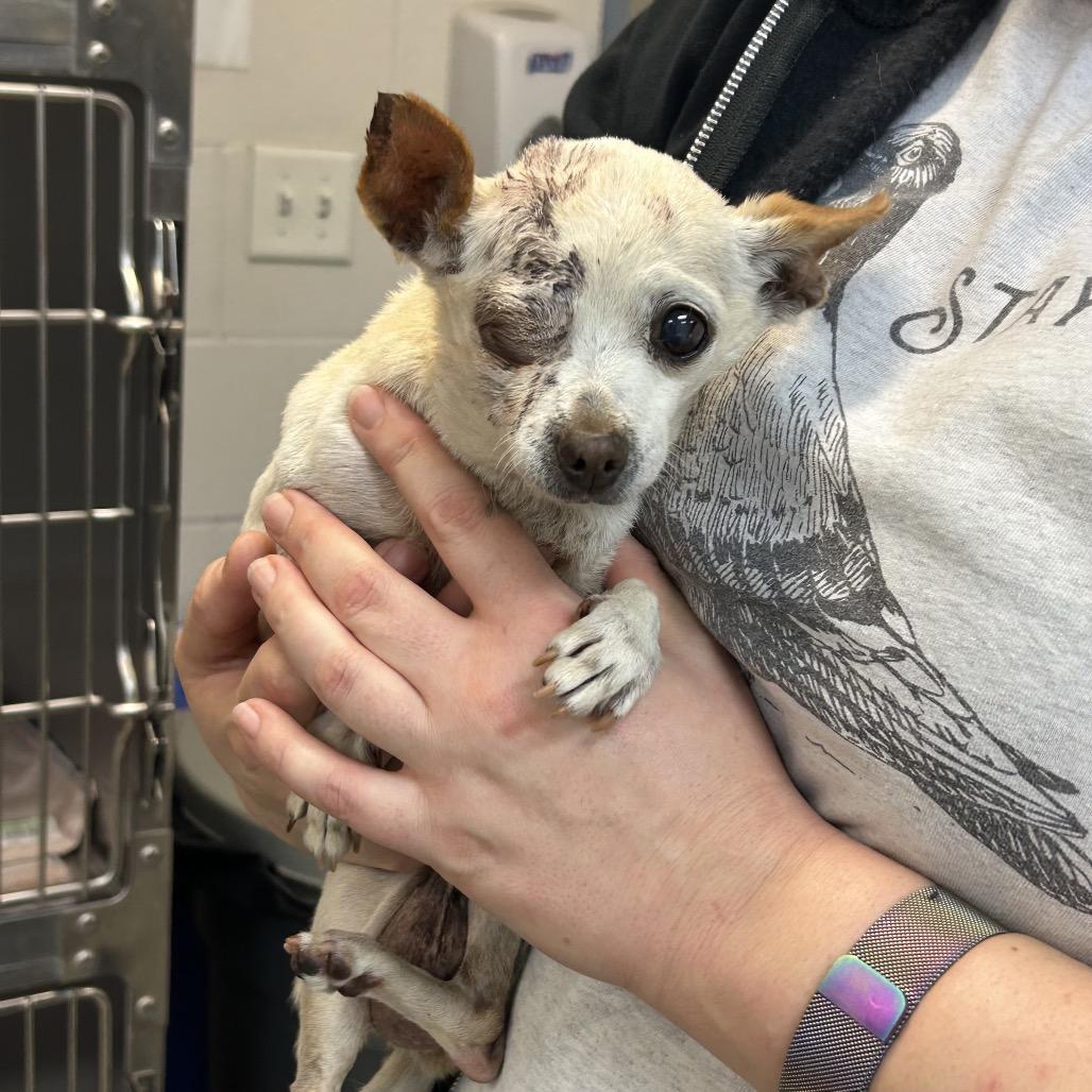 Leela — thumbnail 4