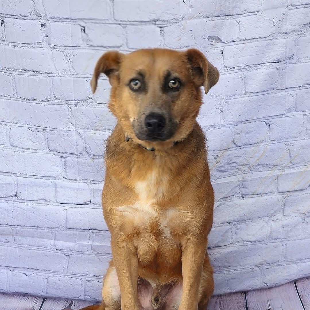 Jacob  Stunning!  thumbnail 4