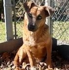 Jacob  Stunning!  thumbnail 6