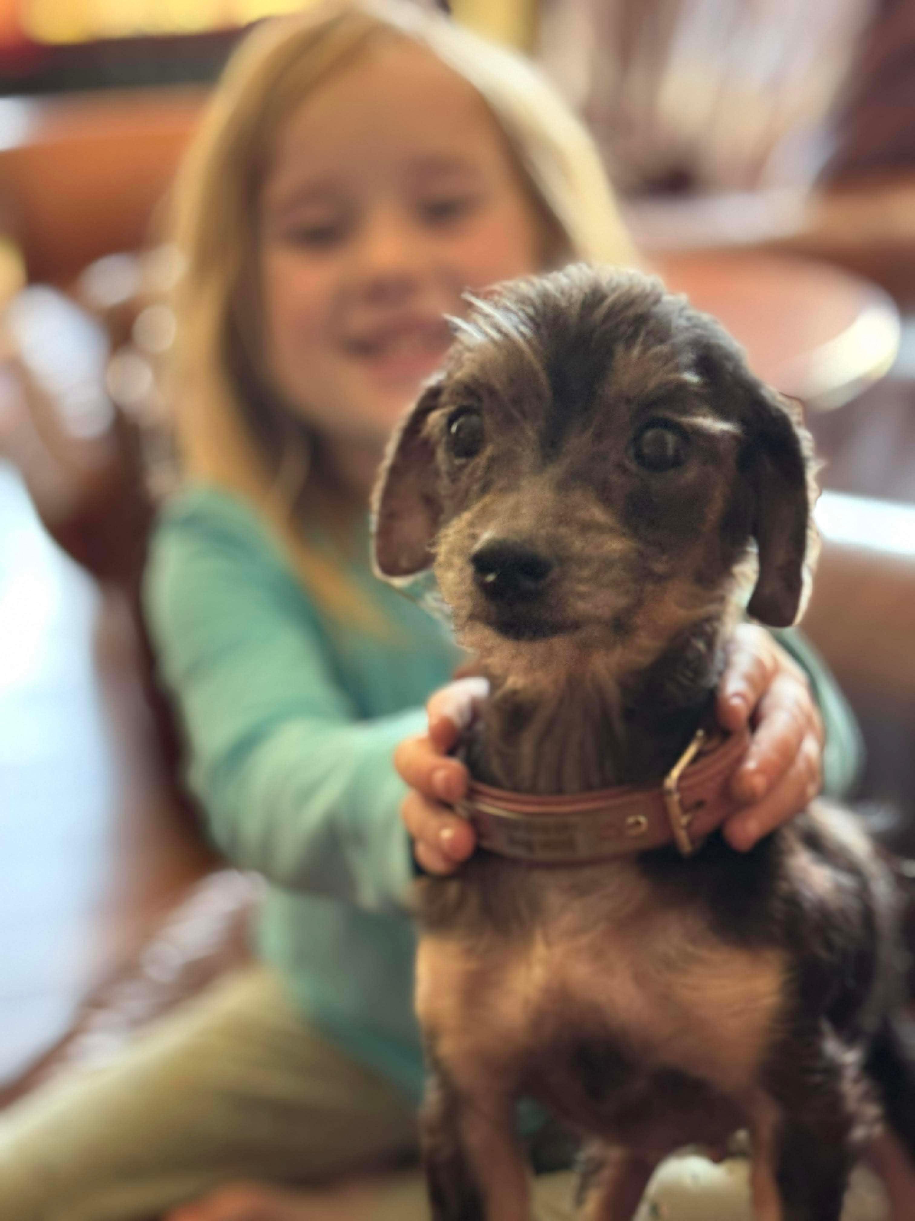 Fancy Nancy thumbnail 4