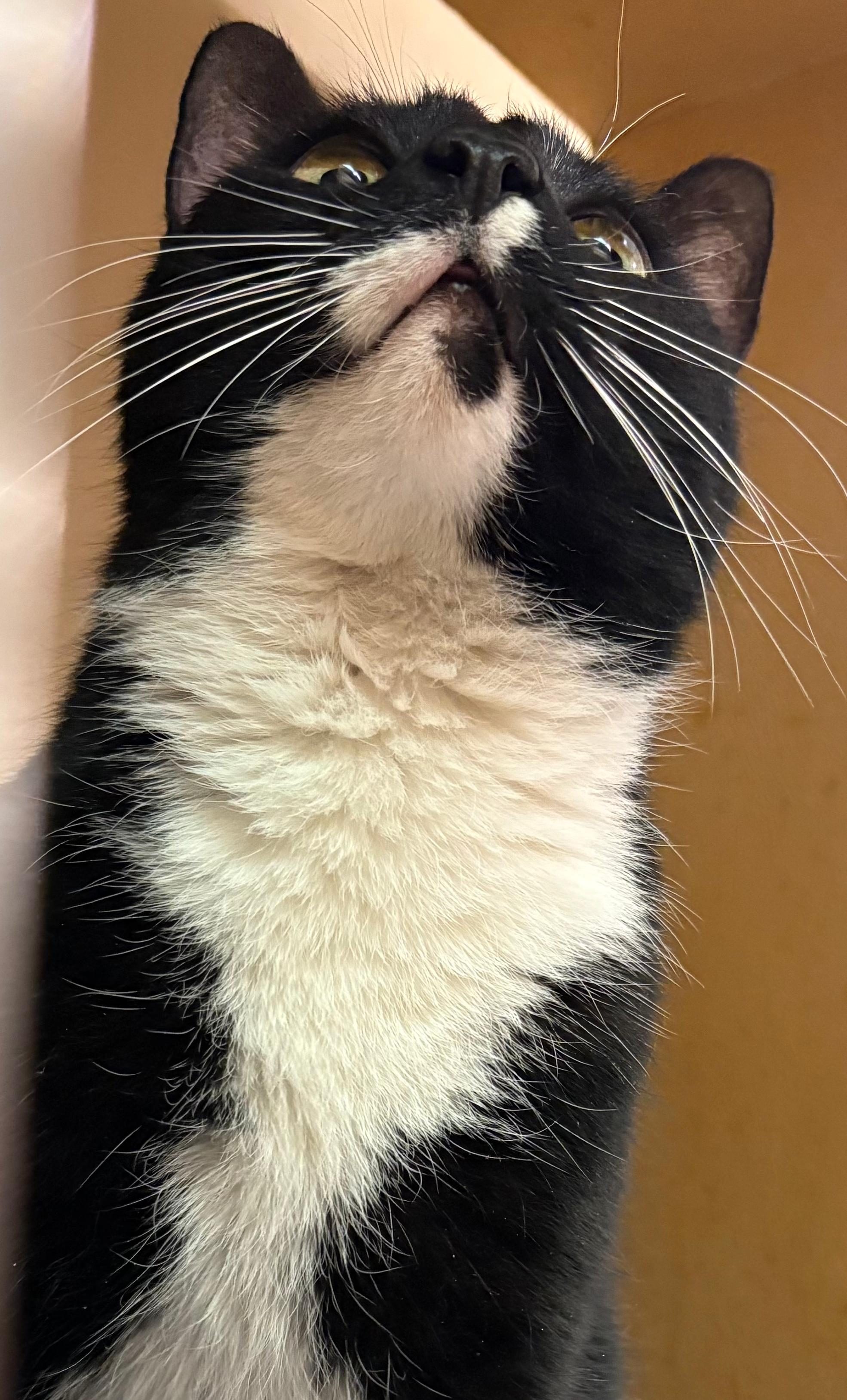 Nina — thumbnail 3