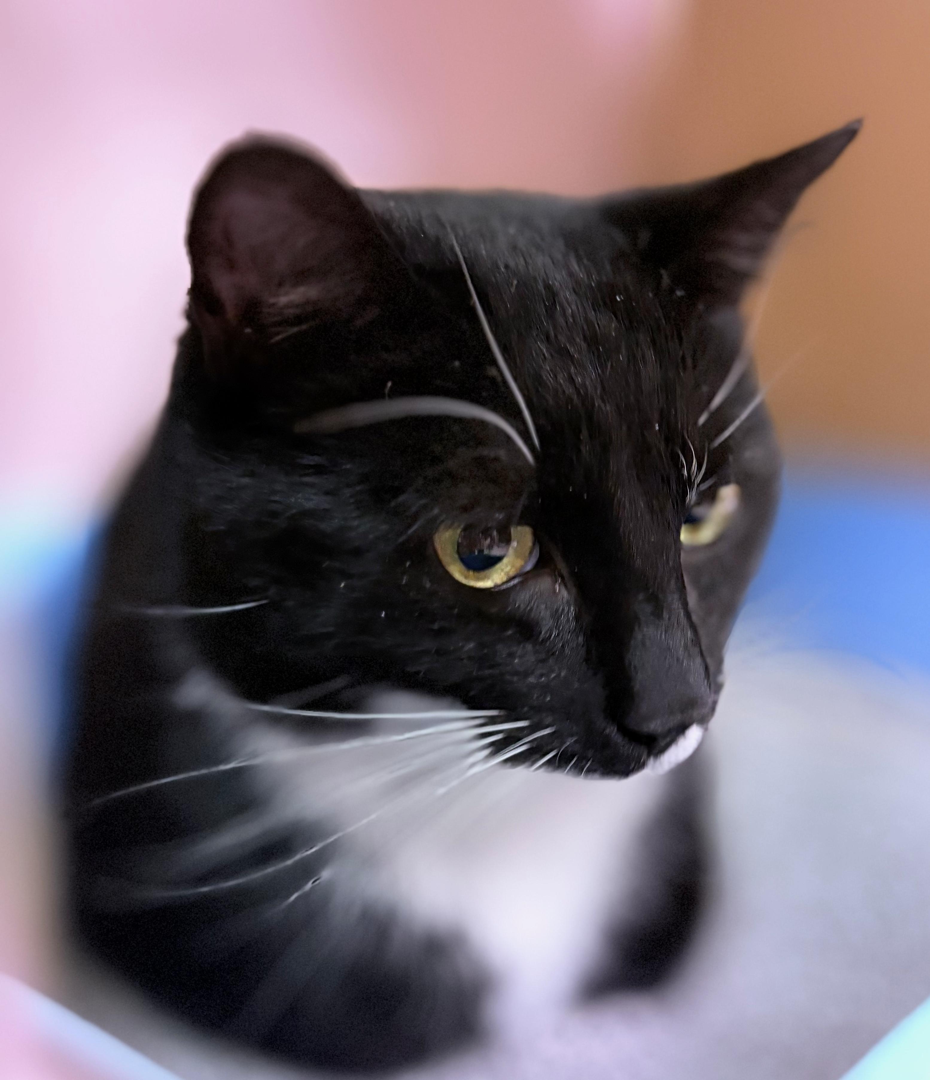 Nina — thumbnail 4