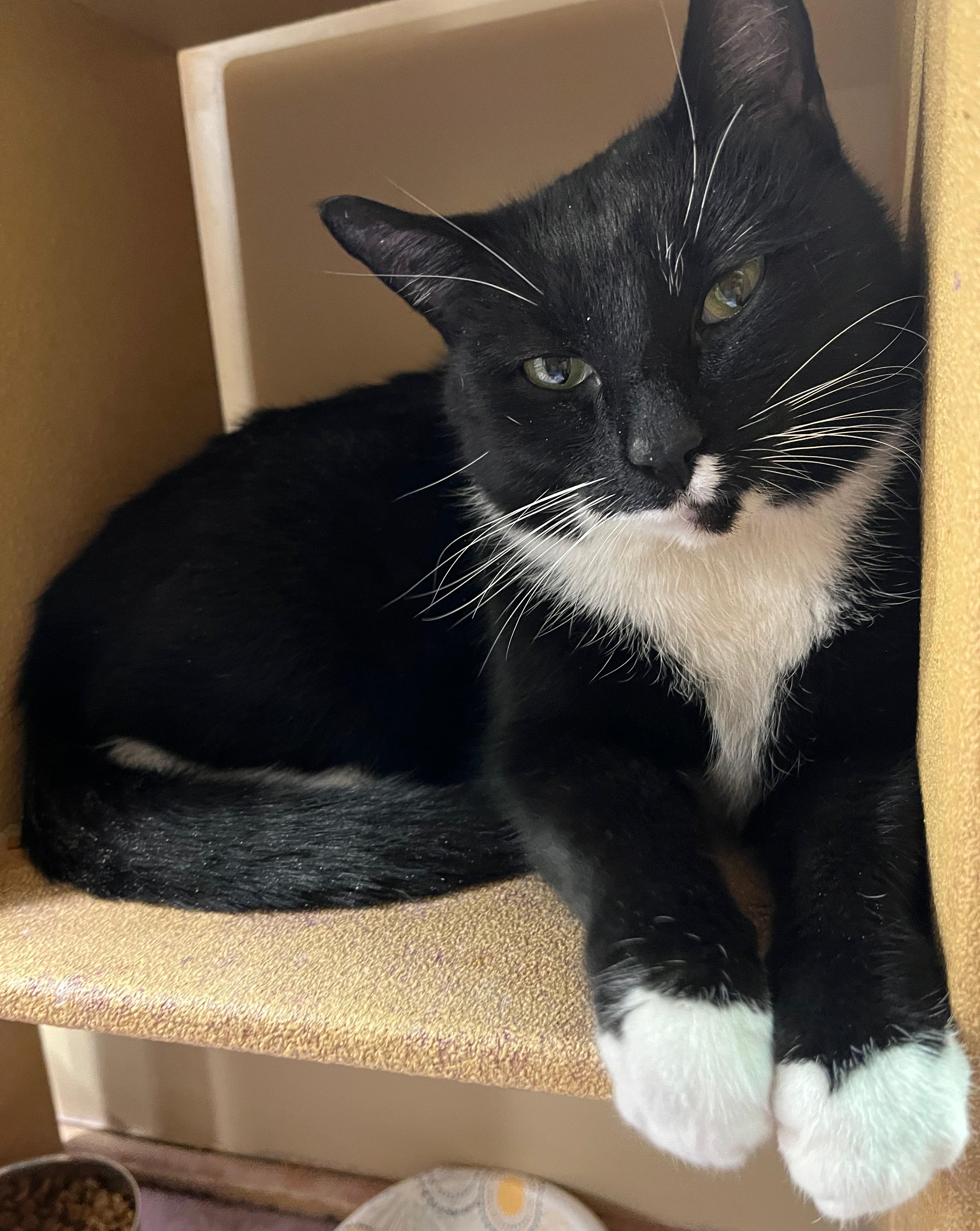 Nina — thumbnail 5