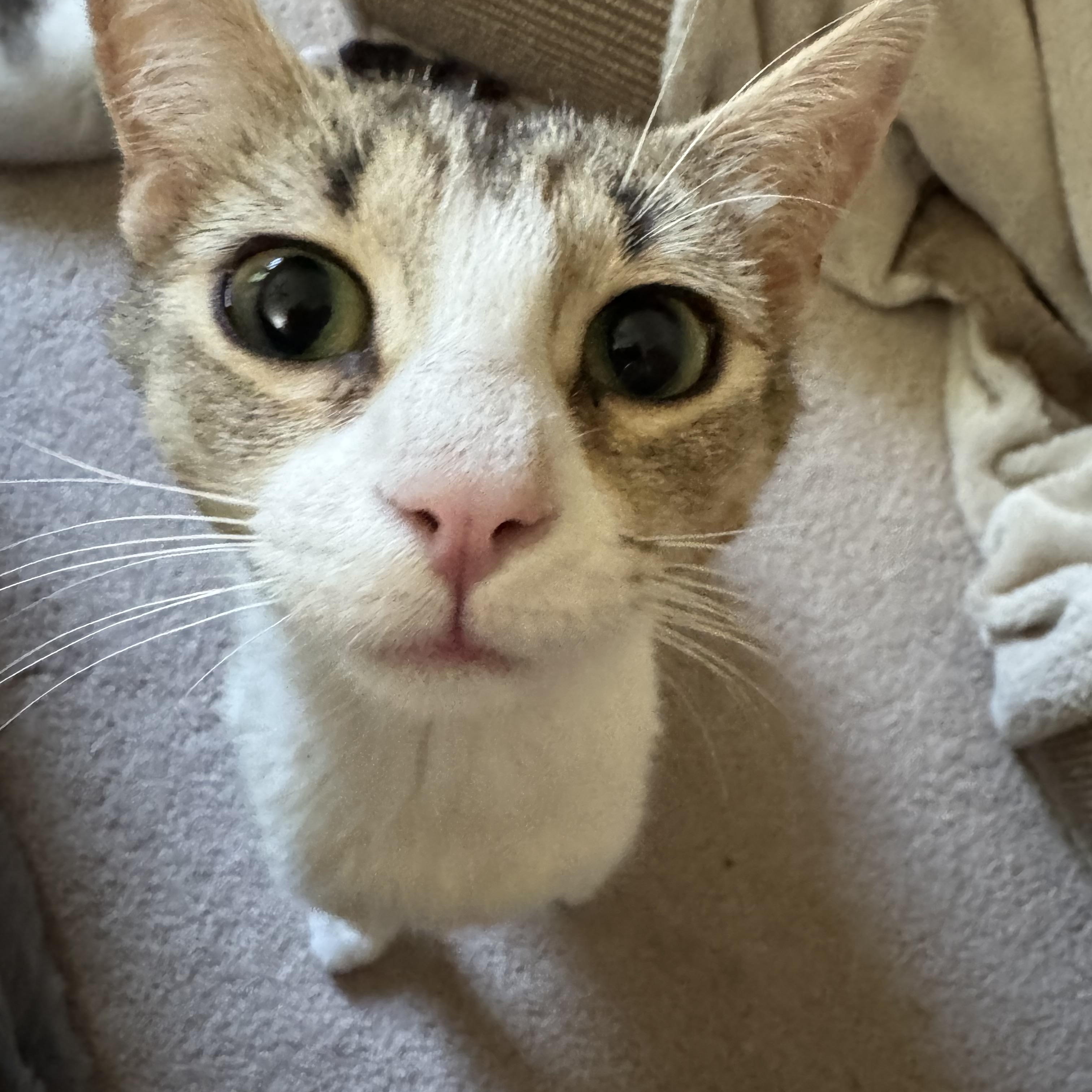 Missy photo 3