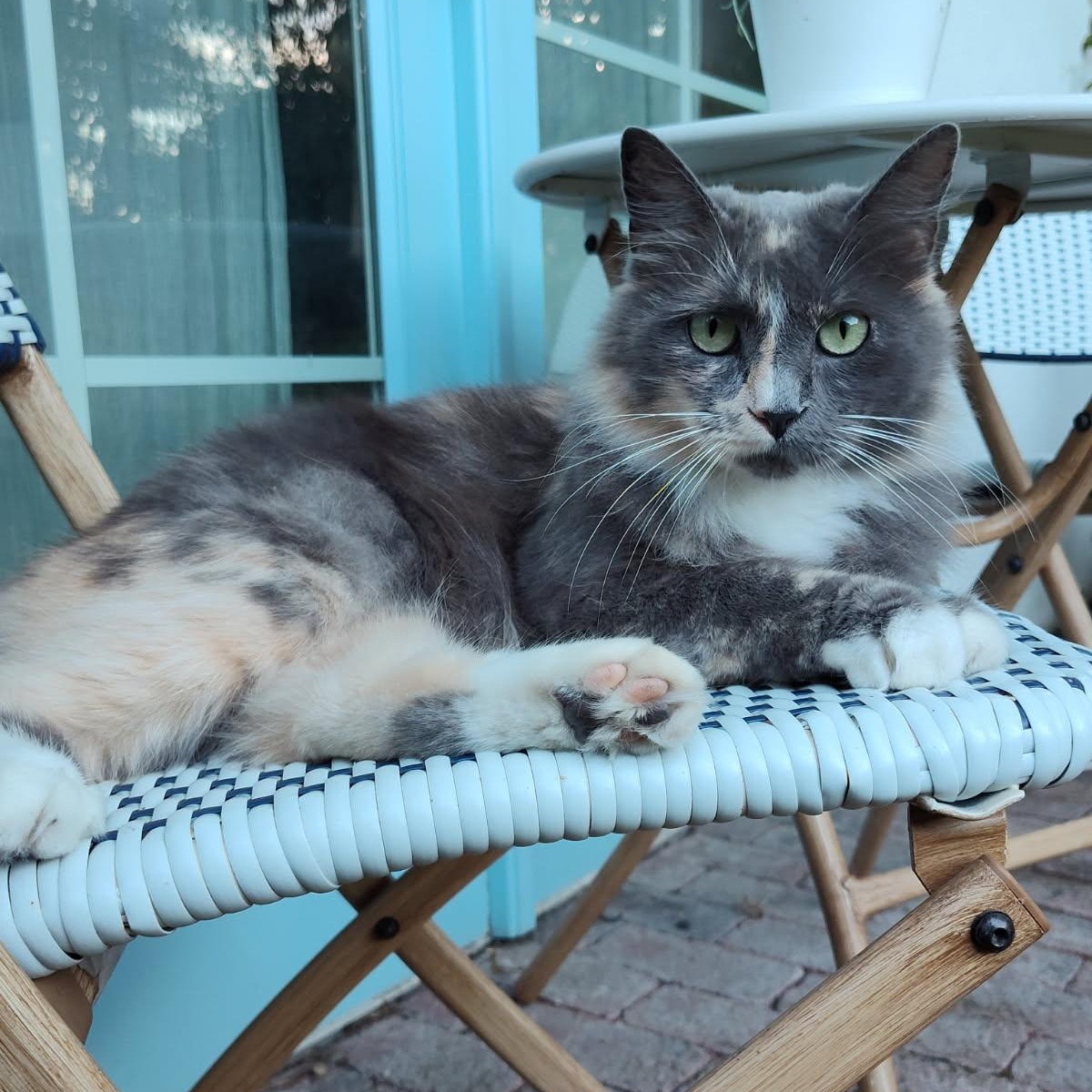 Sophia