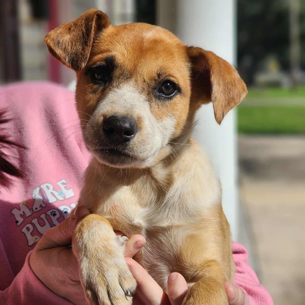 Lovely Luna thumbnail 3