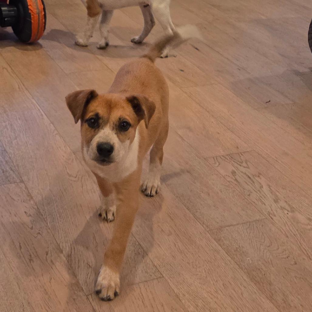 Lovely Luna thumbnail 4