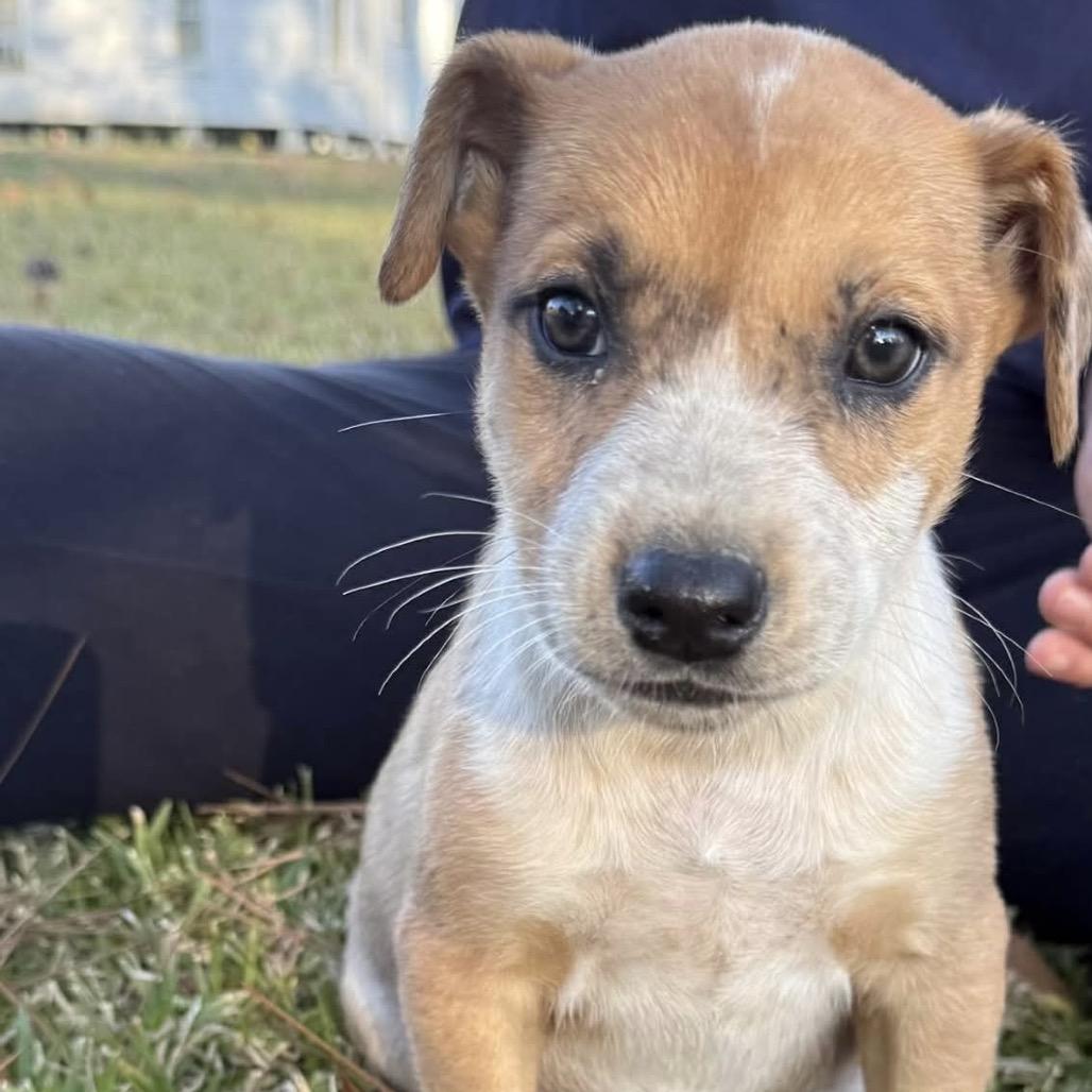 Lovely Luna thumbnail 5