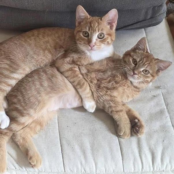 Doc Holiday — thumbnail 2