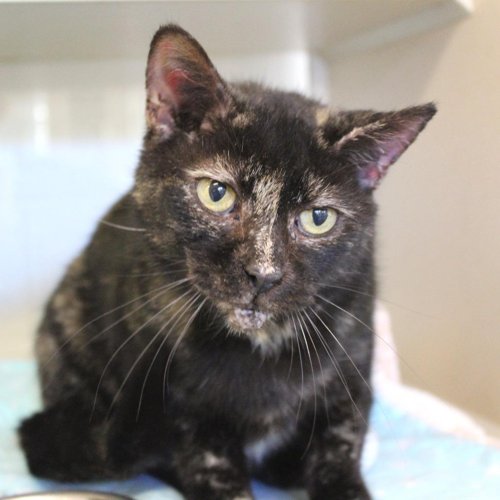 Fernie Bernie — thumbnail 2