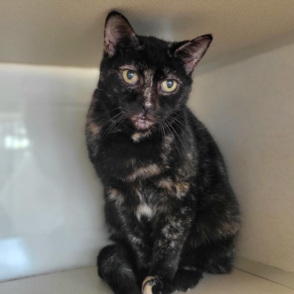 Fernie Bernie — thumbnail 4