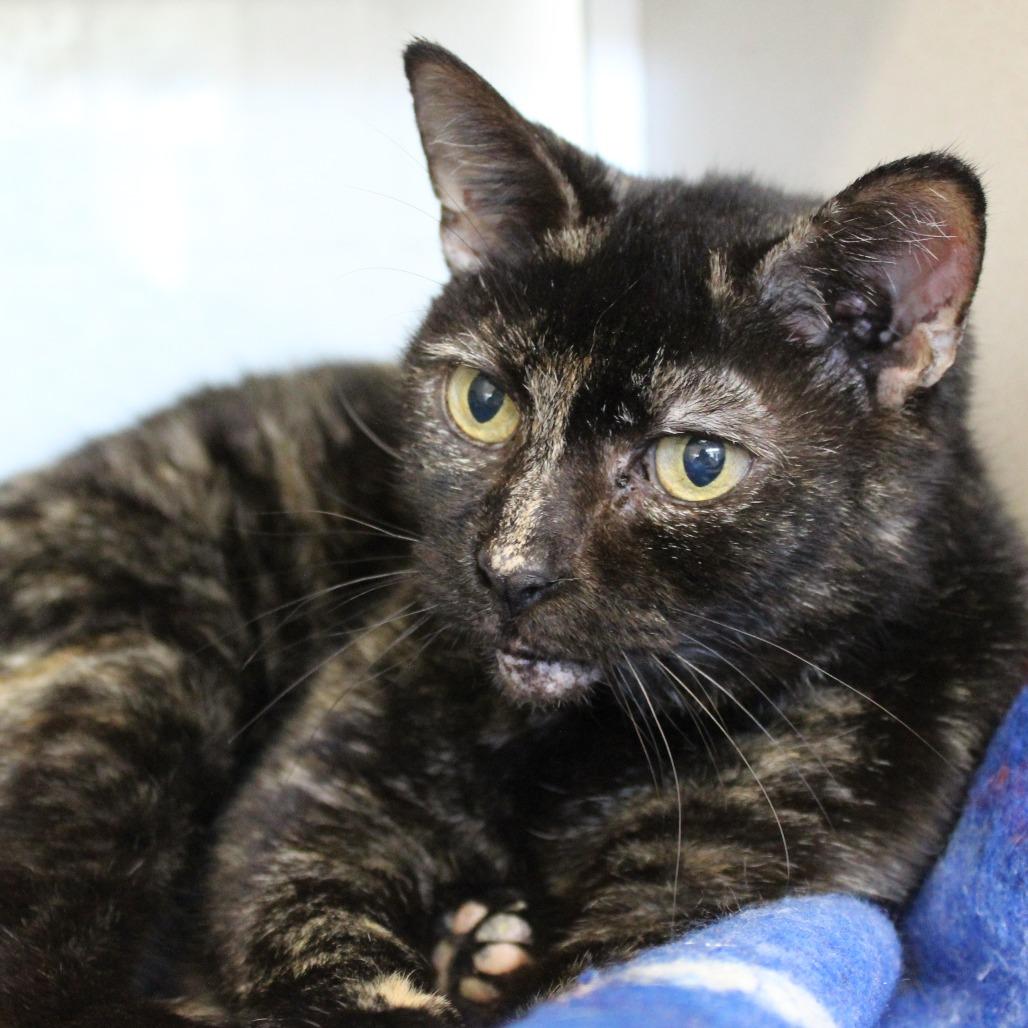 Fernie Bernie — thumbnail 5