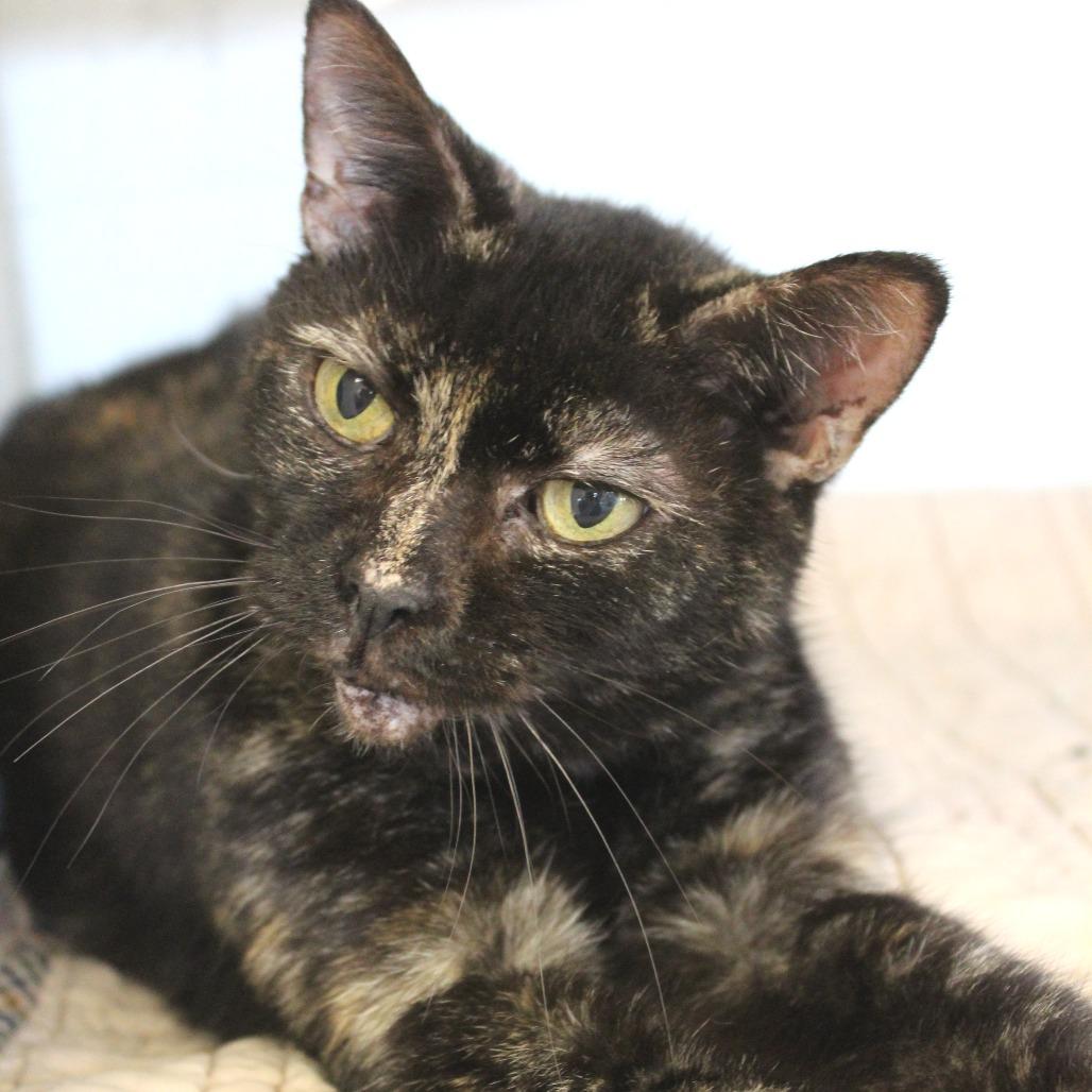 Fernie Bernie — thumbnail 6