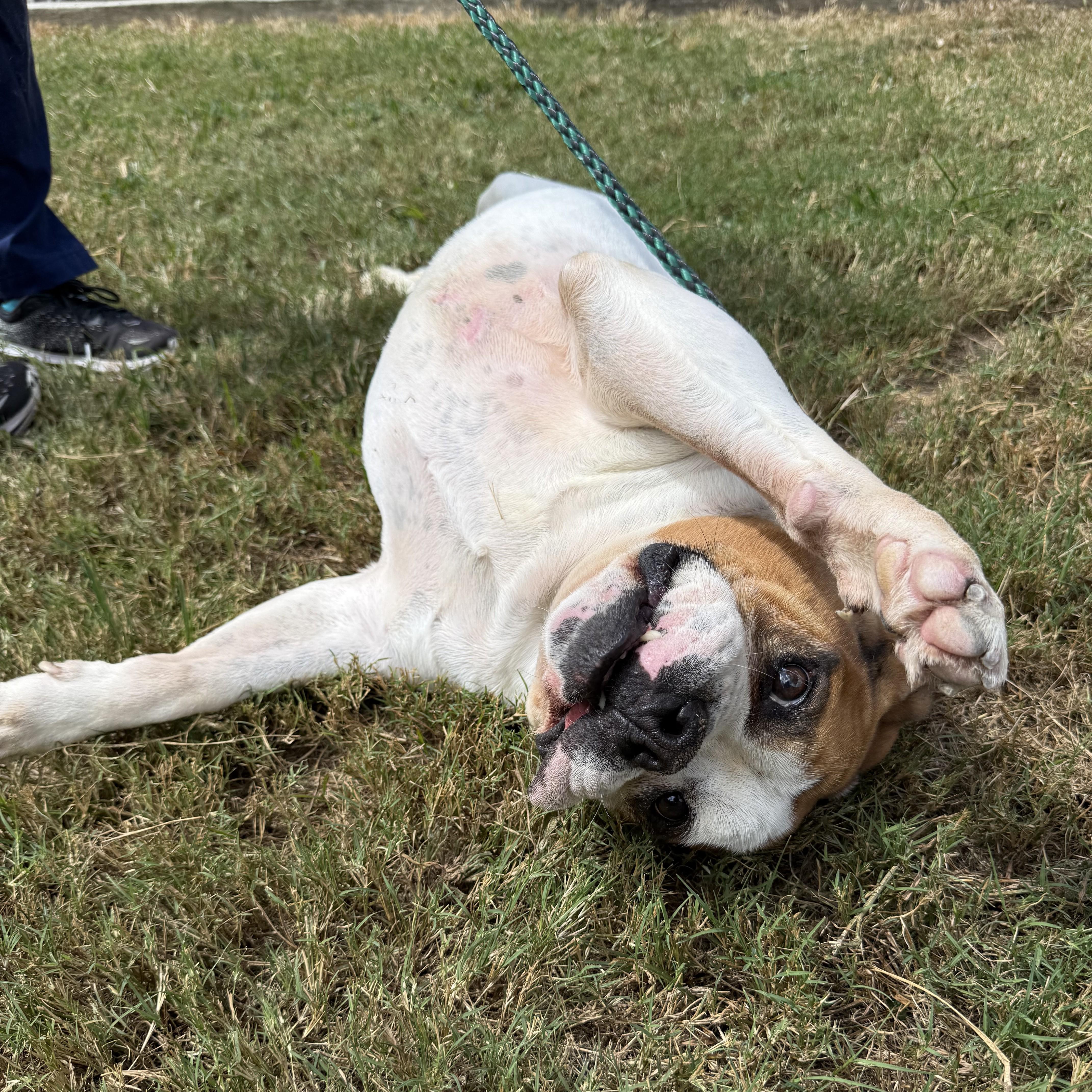 Tank — thumbnail 3