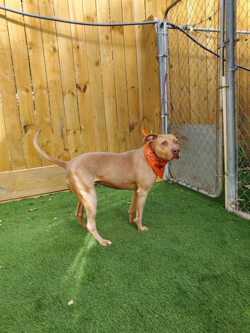 Cali — thumbnail 6