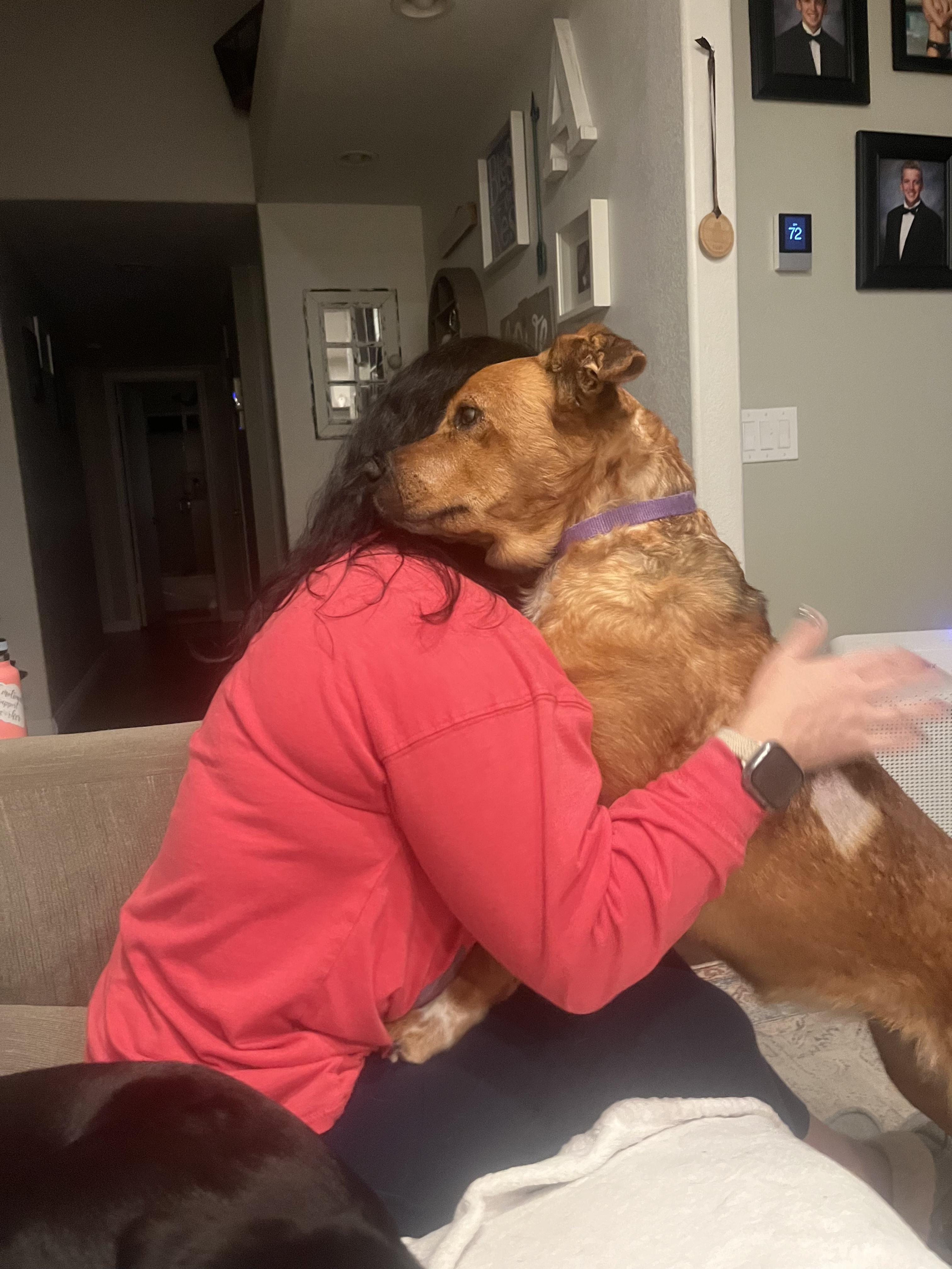 Enlarge Tally, a ADOPTABLE mixed breed in Los Angeles, CA image 2/4