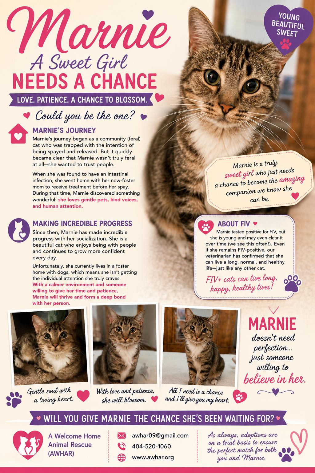 Enlarge MARIE "Shorty Pants" - $175/Mo. FOSTER!!, a Adoptable mixed breed in Atlanta, GA image 3/3