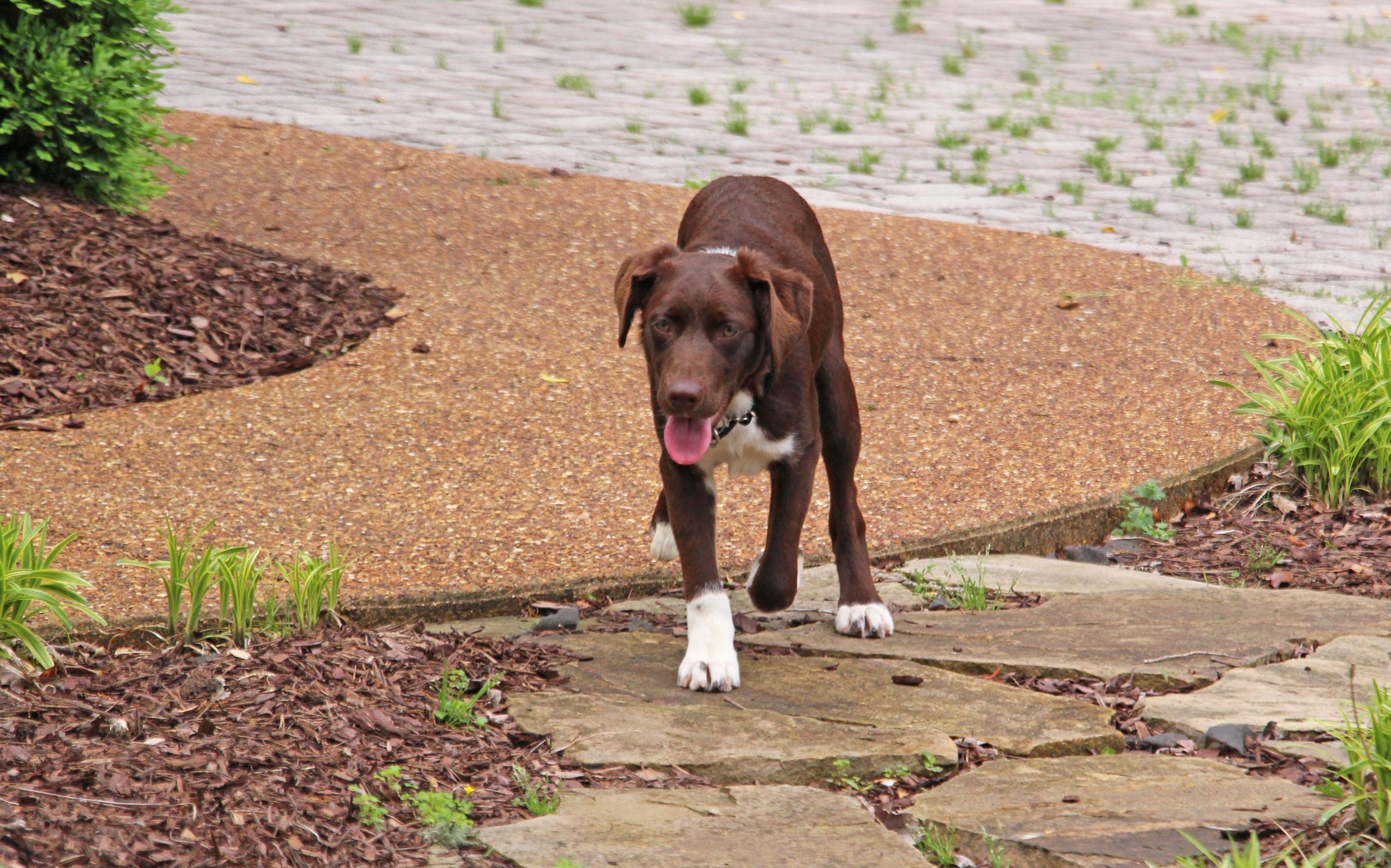 Gwennie thumbnail 3